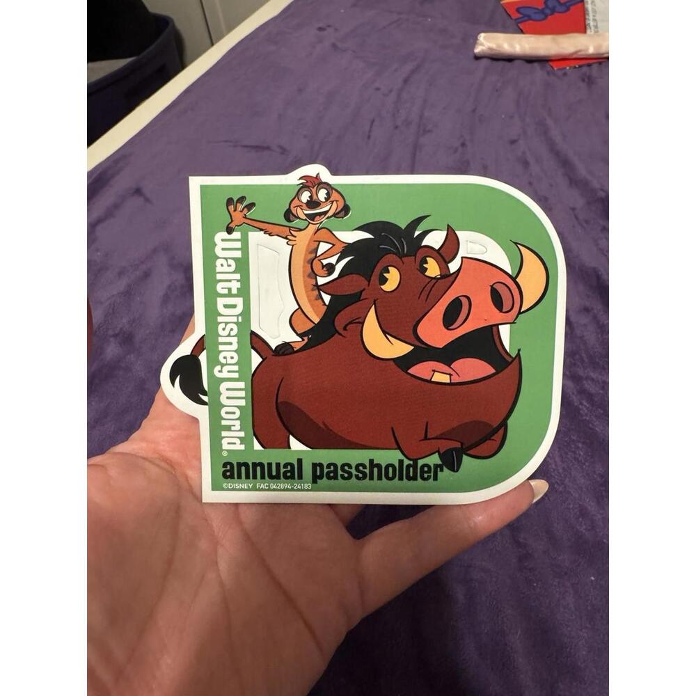 Disney Annual Passholder Authentic Timon and Pumba Magnet